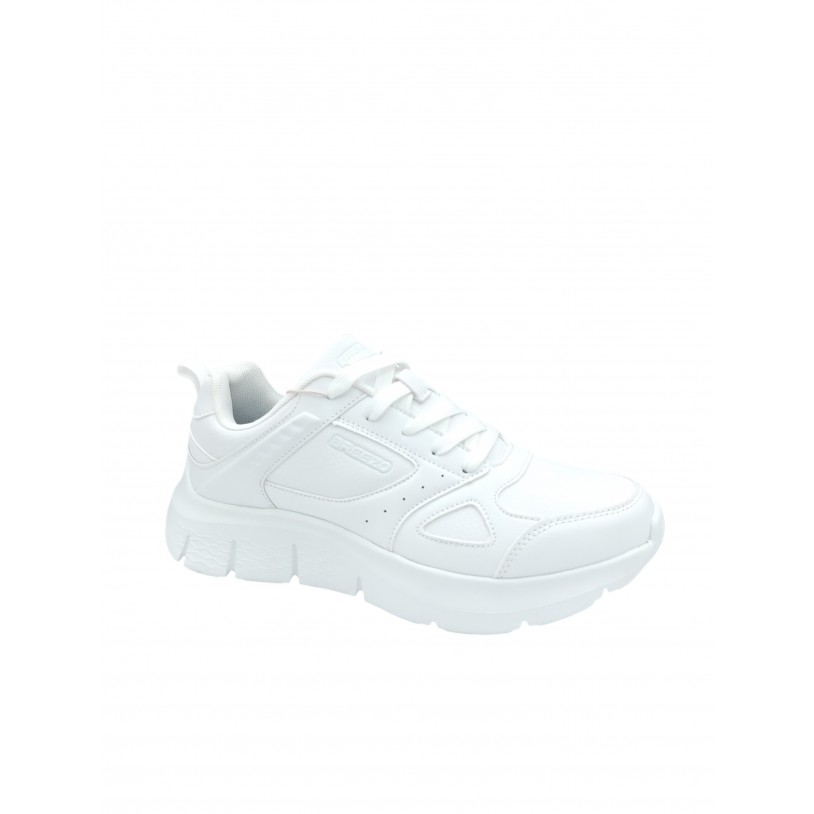 BK2559