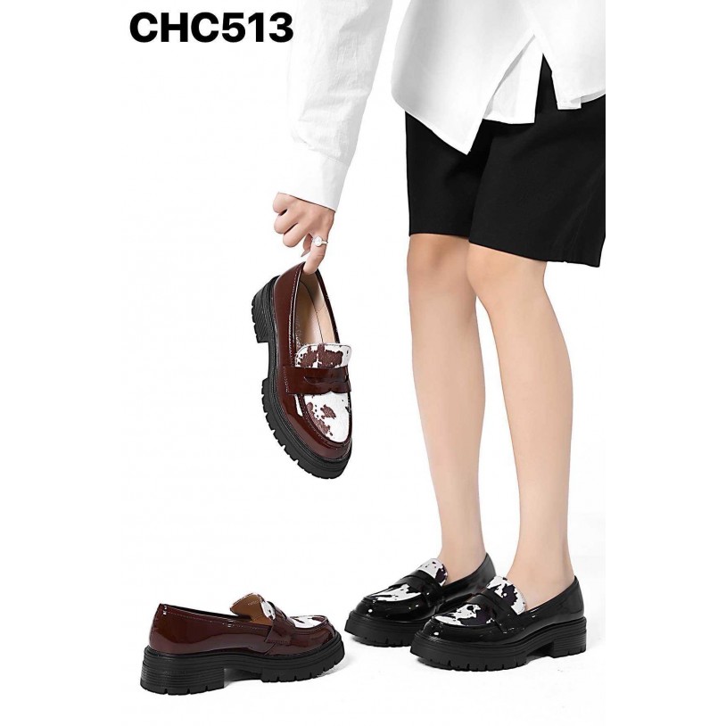 CHC513