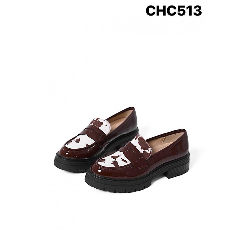 CHC513