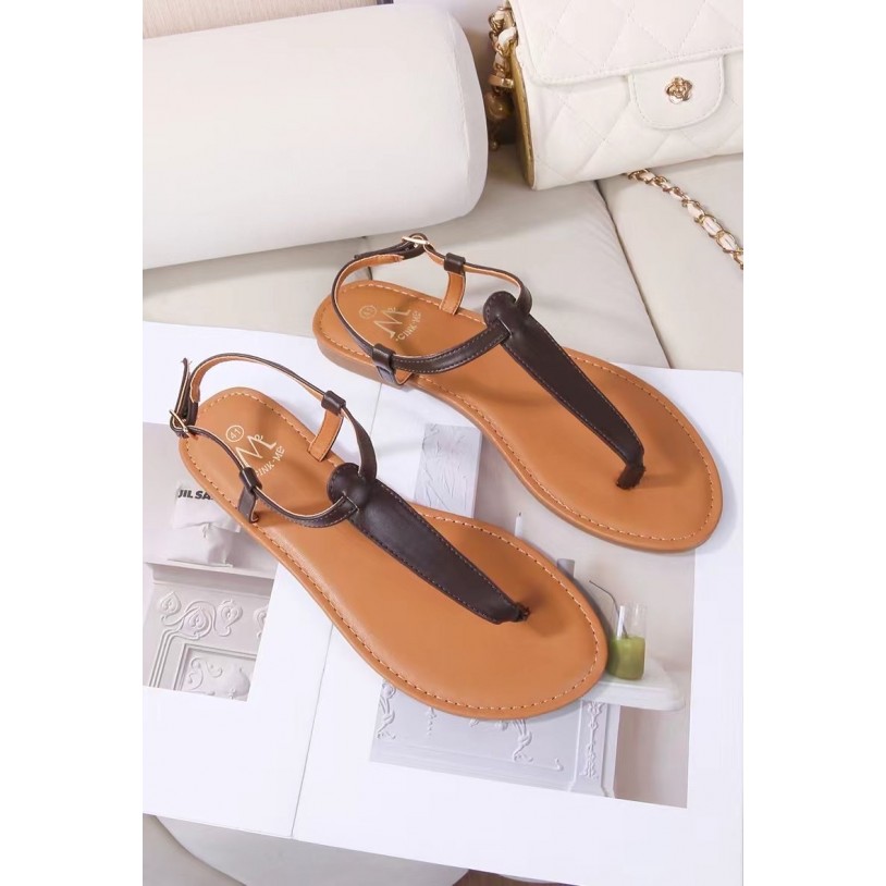 DM512-51 Grande pointure