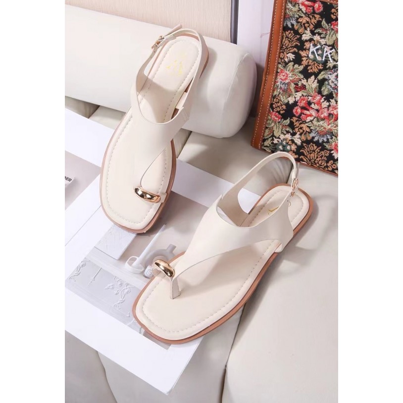 DM-7G06 Grande pointure