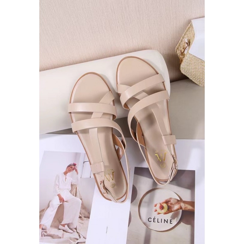 DM-7G21 Grande pointure