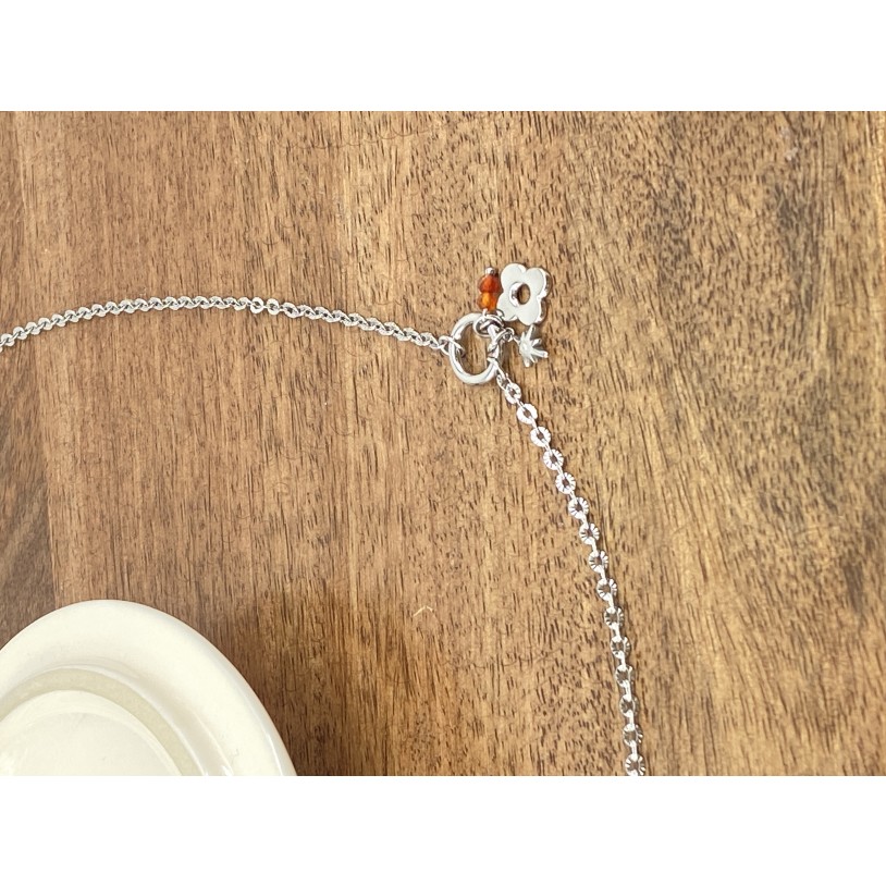 AOCO49 1 ARGENT 1