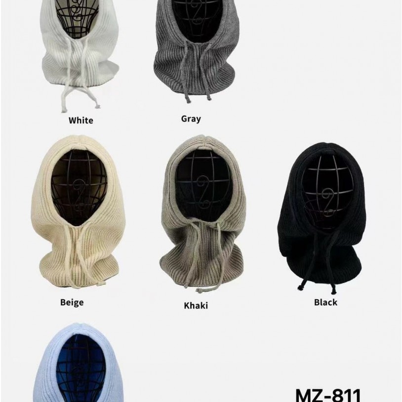 MZ811