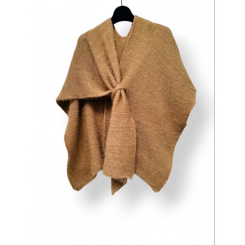 P22-234-Camel