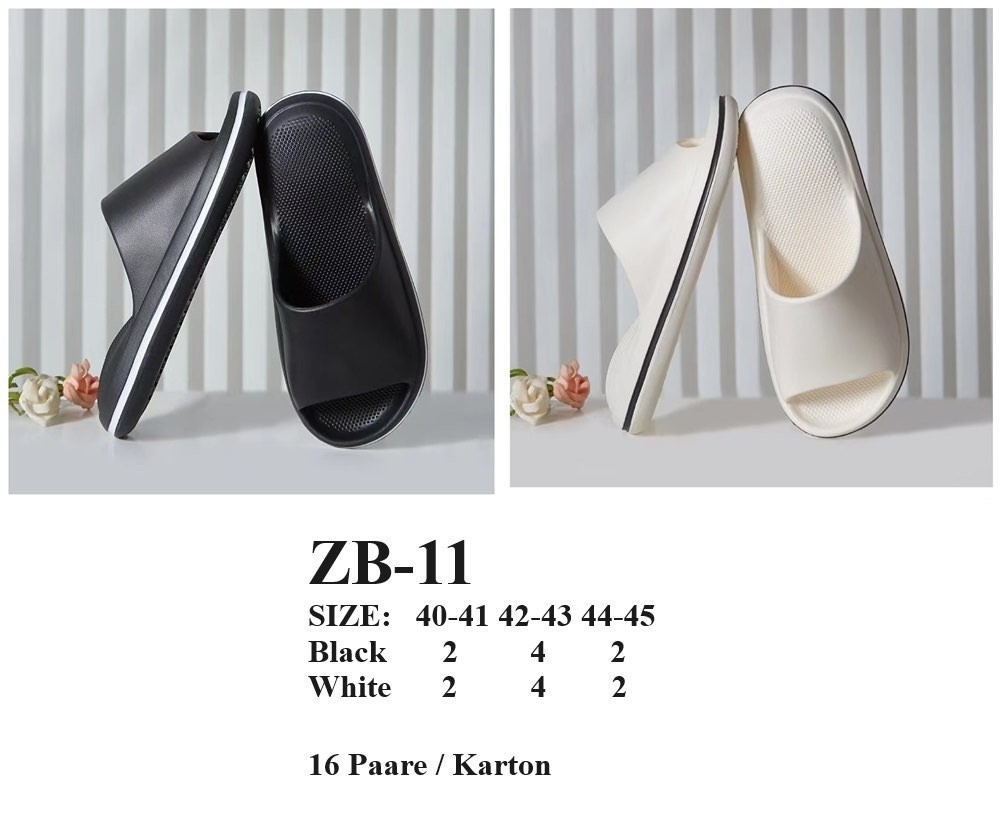 ZB-11