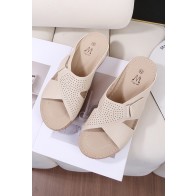 DM22-65 Grande pointure