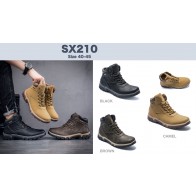 SX210