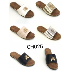 ch025