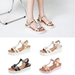 BL6621-SD