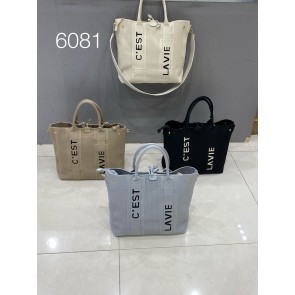 24B-6081(2m1