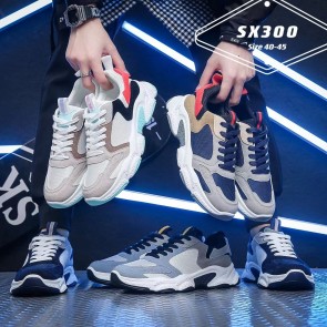 SX300