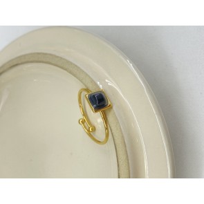 BAGUE28-29