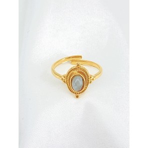 BAGUE45-36