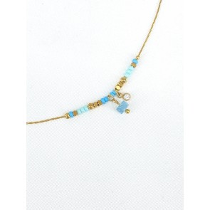 COLL45-6