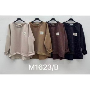 JJ1623